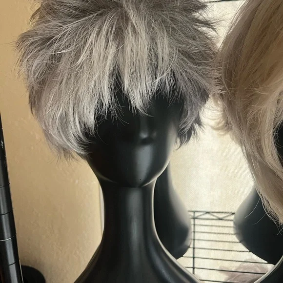 2/7/26 🚨UPDATE ‼️Wig collection.
SALT AND PEPPER.
BLONDE. - Picture 7 of 7